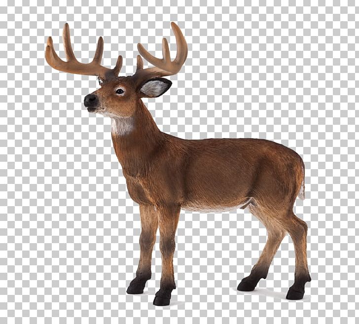 White-tailed Deer Action & Toy Figures Wildlife PNG, Clipart, Action Toy Figures, Animal, Animal Figurine, Animals, Animal Sauvage Free PNG Download