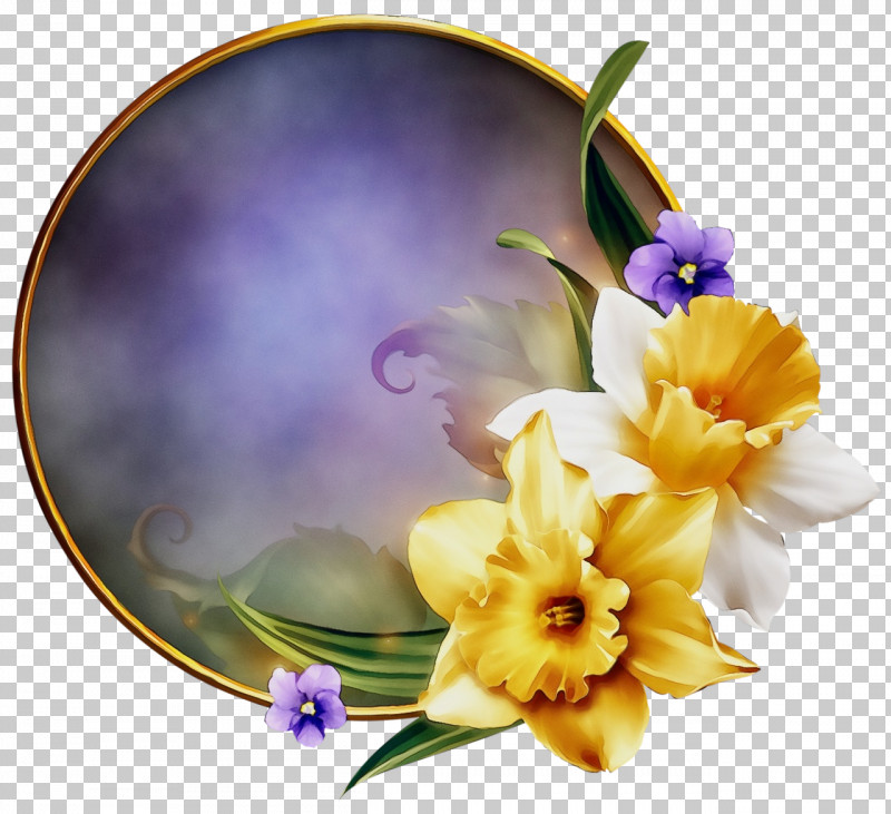 Purple Violet Yellow Flower Plant PNG, Clipart, Cattleya, Crocus, Flower, Iris, Iris Family Free PNG Download