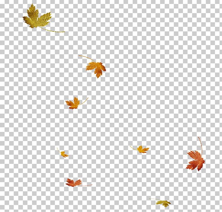 Autumn Leaf PNG, Clipart, Adobe Illustrator, Banana Leaves, Contrast, Encapsulated Postscript, Fall Leaves Free PNG Download