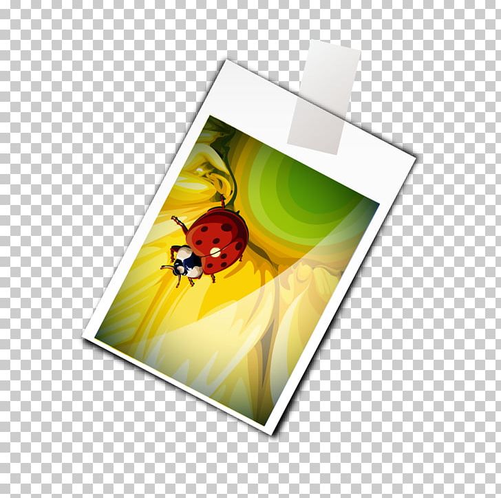 Insect Butterfly PNG, Clipart, Album, Album Design, Animals, Designer, Dragonfly Free PNG Download