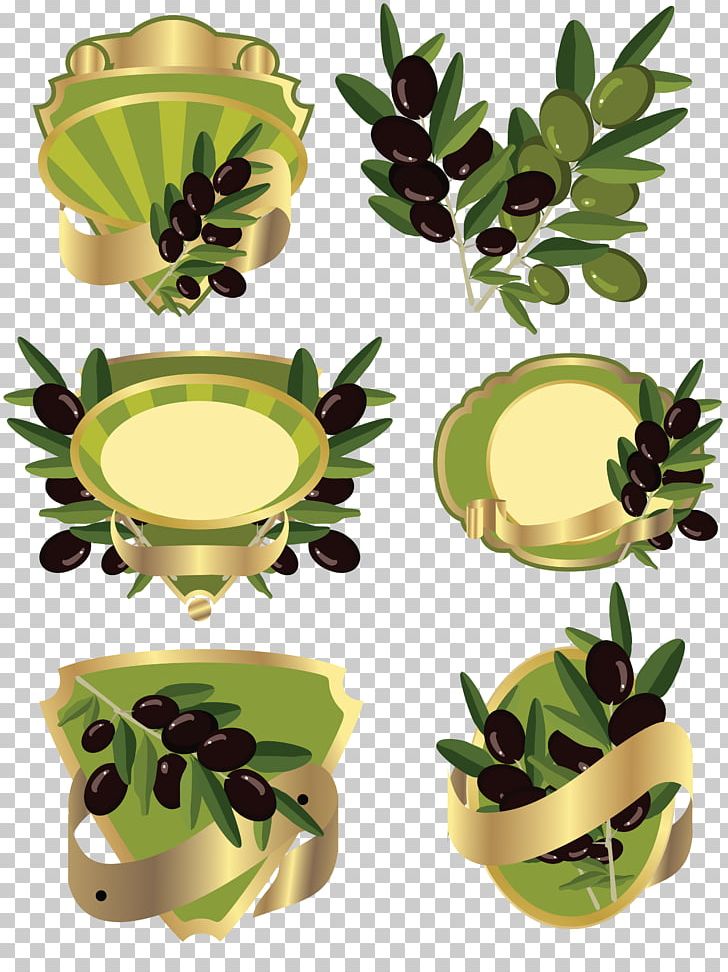 Olive Oil Olive Branch Food Plant PNG, Clipart, Bottle, Flowerpot, Food, Food Drinks, Fruit Free PNG Download