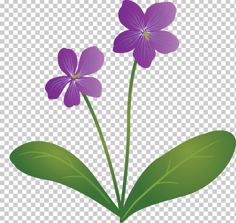 Violet Flower PNG, Clipart, Biology, Flora, Herbaceous Plant, Petal, Plants Free PNG Download