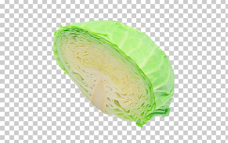 Cabbage PNG, Clipart, Cabbage, Elements, Food, Free Png Elements, Free Stock Png Free PNG Download