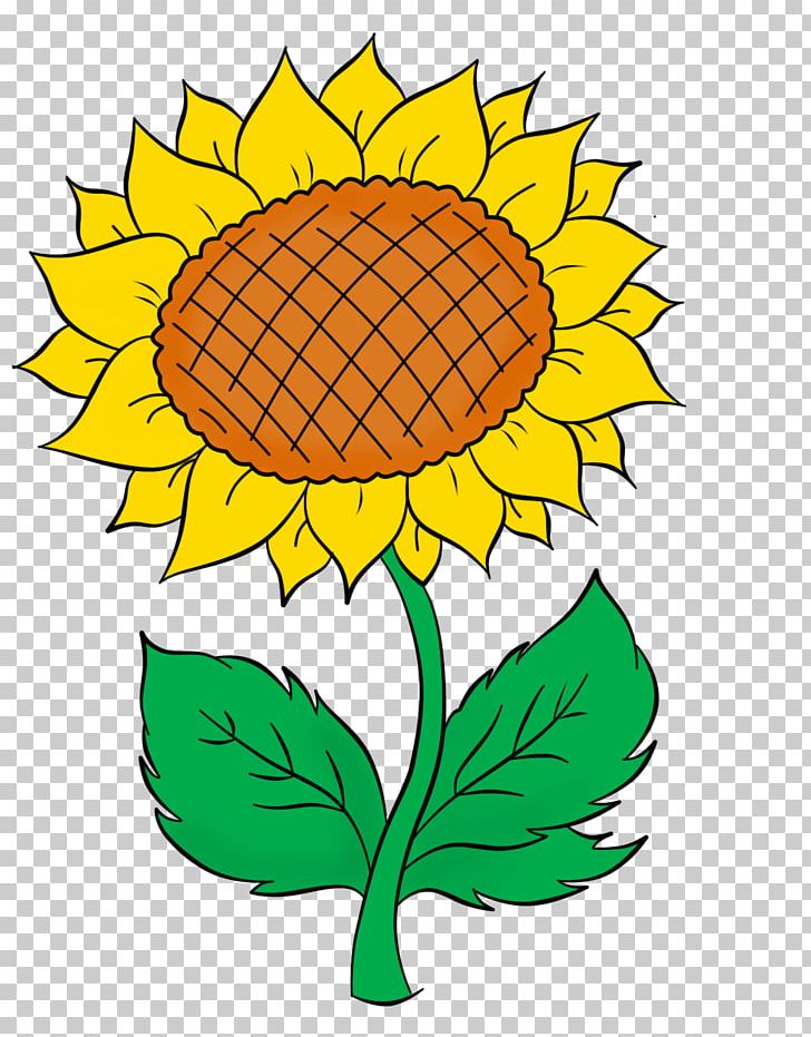 Common Sunflower Halva Sunflower Seed Honey Yandex PNG, Clipart, Artwork, Commodity, Common Sunflower, Cut Flowers, Daisy Family Free PNG Download
