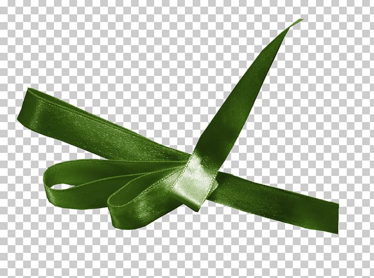 Photography Ansichtkaart .by Painting Plant Stem PNG, Clipart, Ansichtkaart, Grass, Leaf, Miscellaneous, Others Free PNG Download