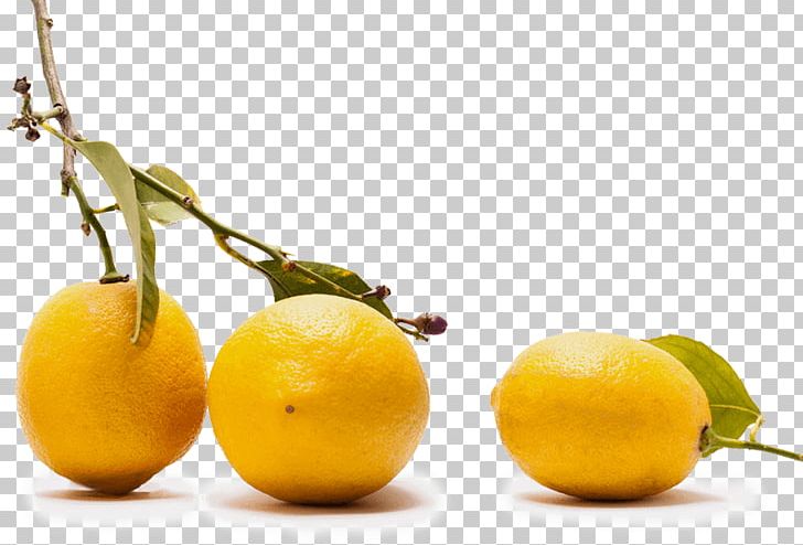 Sweet Lemon Citron Vegetarian Cuisine Food PNG, Clipart, Citric Acid, Citron, Citrus, Citrus Junos, Diet Free PNG Download