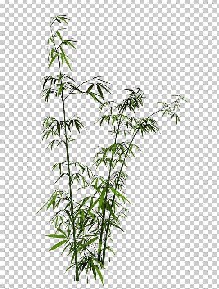 Bamboo Ink Wash Painting PNG
