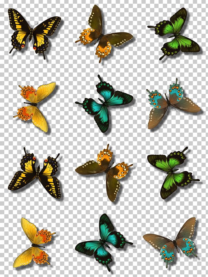 Monarch Butterfly PaintShop Pro GIMP PNG, Clipart, Arthropod, Brush, Brush Footed Butterfly, Butterfly, Corel Free PNG Download
