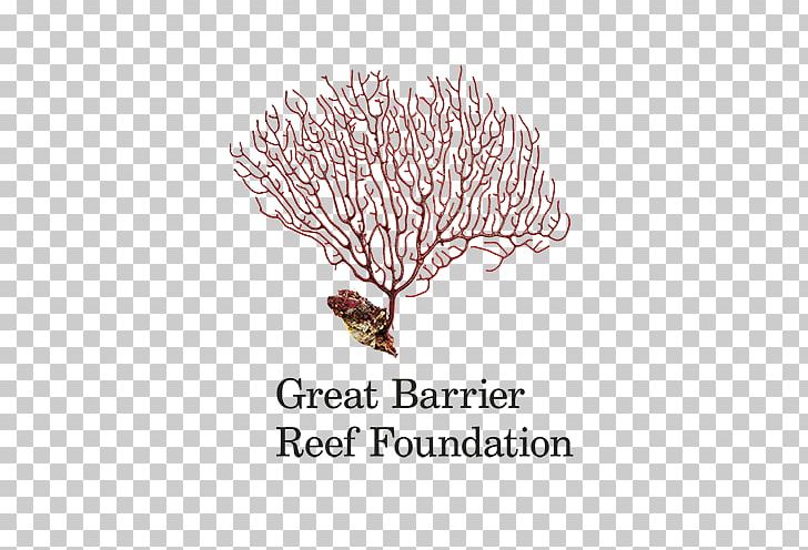 Raine Island Great Barrier Reef Coral Reef Organization PNG, Clipart, Australia, Branch, Charitable Organization, Coral, Coral Reef Free PNG Download