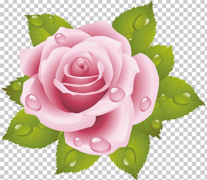 Rose Cross-stitch Pink Floral Design Flower PNG, Clipart, 4 Ce, Art, Crossstitch, Cut Flowers, Decorative Arts Free PNG Download