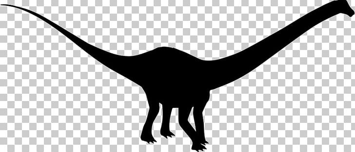 Diplodocus Silhouette Black White PNG, Clipart, Animals, Beak, Black, Black And White, Dinosaur Free PNG Download
