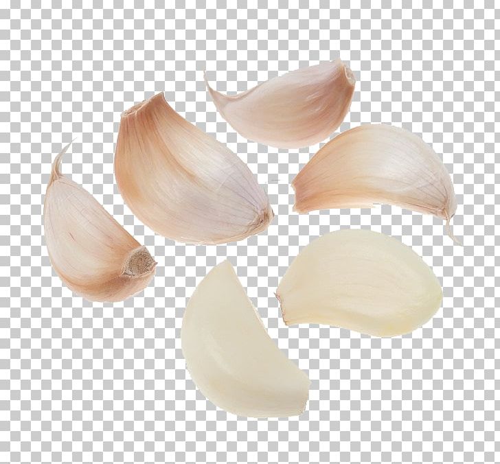 Solo Garlic Oil Of Clove Mincing Food PNG, Clipart, Acid, Allium, Baking, Bulb, Christopher Ranch Llc Free PNG Download