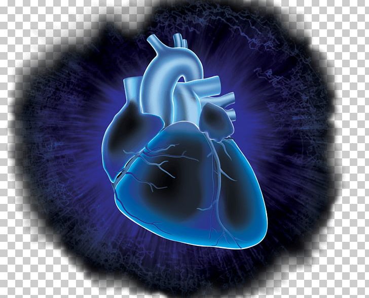 Circulatory System Cardiovascular Research Heart Desktop Cardiovascular Disease PNG, Clipart, Adinstruments, Biology, Blue, Cardiology, Cardiovascular Disease Free PNG Download