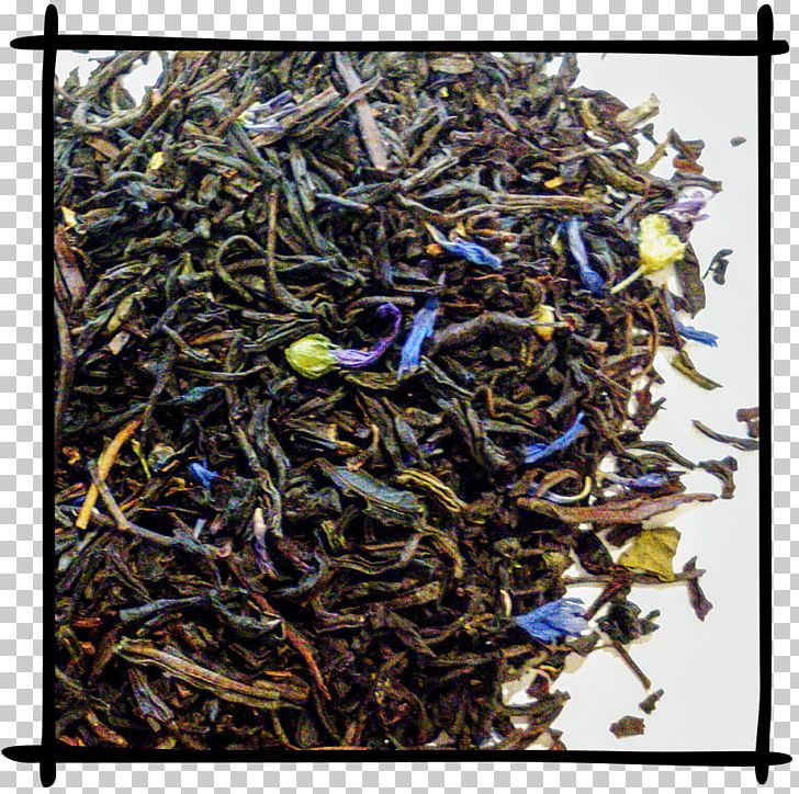 Dianhong Golden Monkey Tea Nilgiri Tea Tea Ink PNG, Clipart, Almond Leaf, Assam Tea, Black Tea, Ceylon Tea, Coffee Free PNG Download