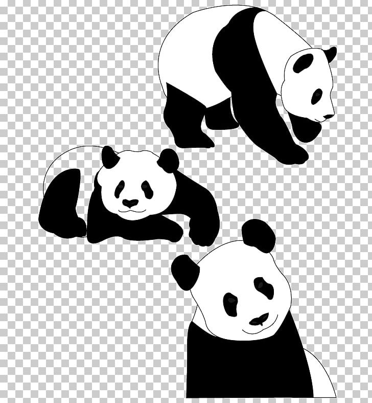 Giant Panda Bear PNG, Clipart, Animal, Animals, Art, Carnivoran, Cartoon Free PNG Download