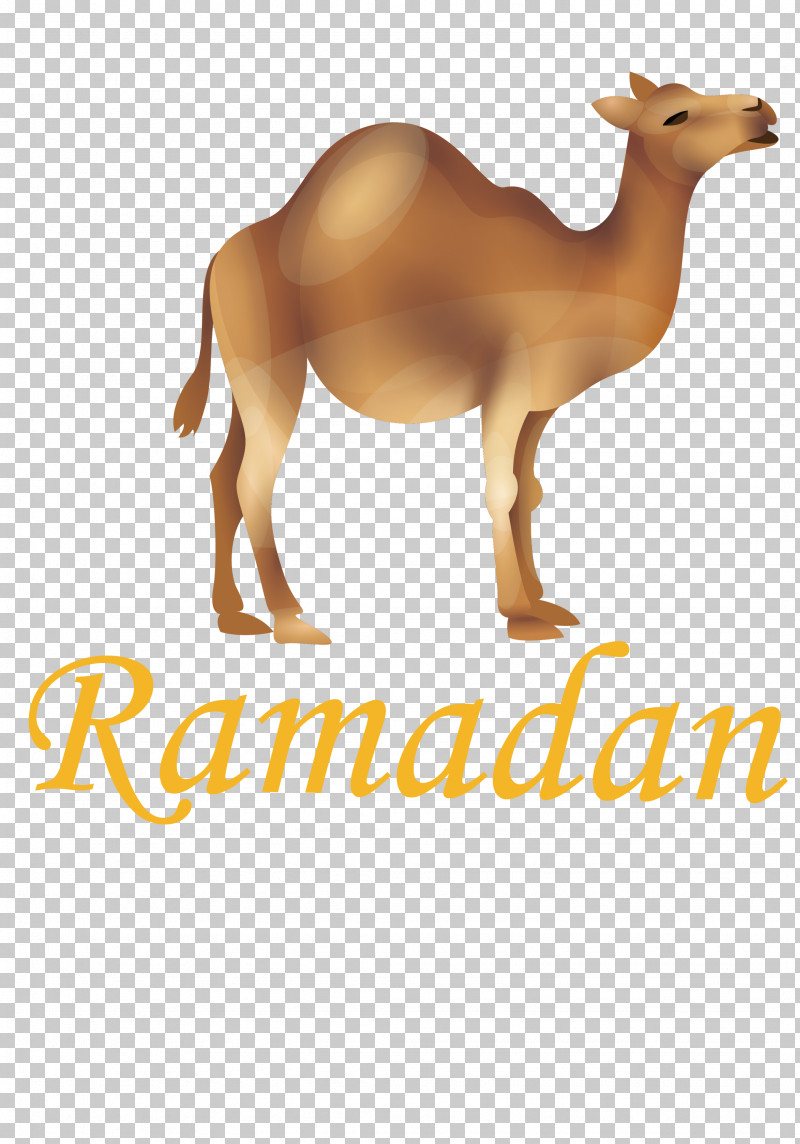 Ramadan PNG, Clipart, Biology, Camels, Deer, Meter, Ramadan Free PNG Download