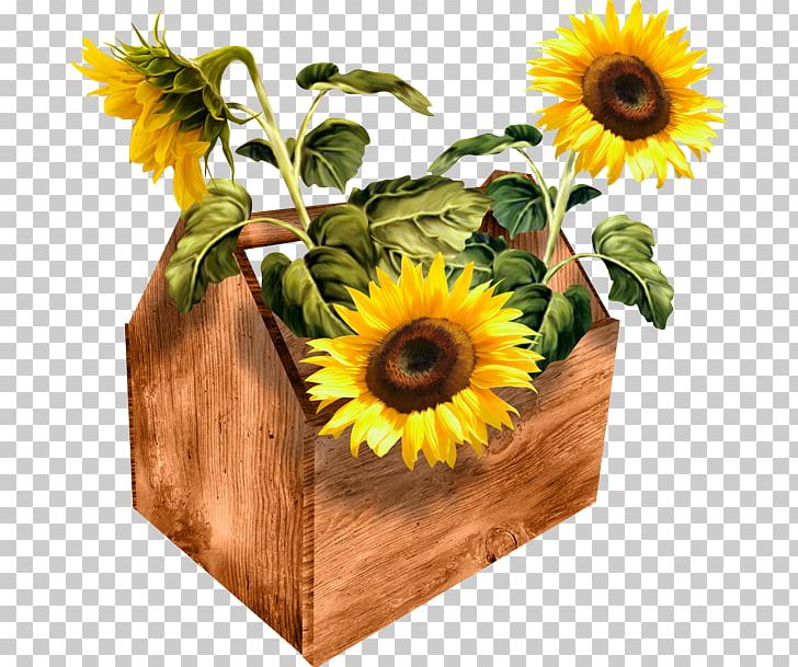 Common Sunflower PhotoScape PNG, Clipart, Blog, Common Sunflower, Cut Flowers, Daisy Family, Desktop Wallpaper Free PNG Download