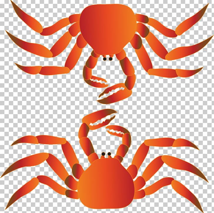 Dungeness Crab Lobster PNG, Clipart, Animals, Artwork, Color, Computer Icons, Crab Free PNG Download