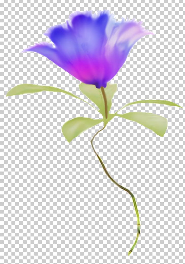 Flower Petal Plant Stem PNG, Clipart, Blue Flower, Cut Flowers, Flora, Flower, Flowering Plant Free PNG Download