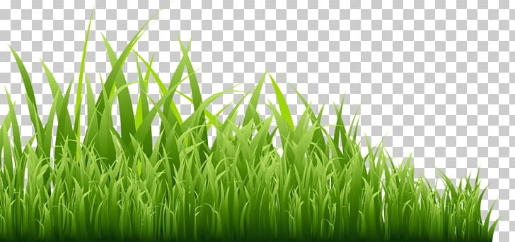 GRASS GIS Icon PNG, Clipart, Background Green, Commodity, Computer Wallpaper, Download, Encapsulated Postscript Free PNG Download