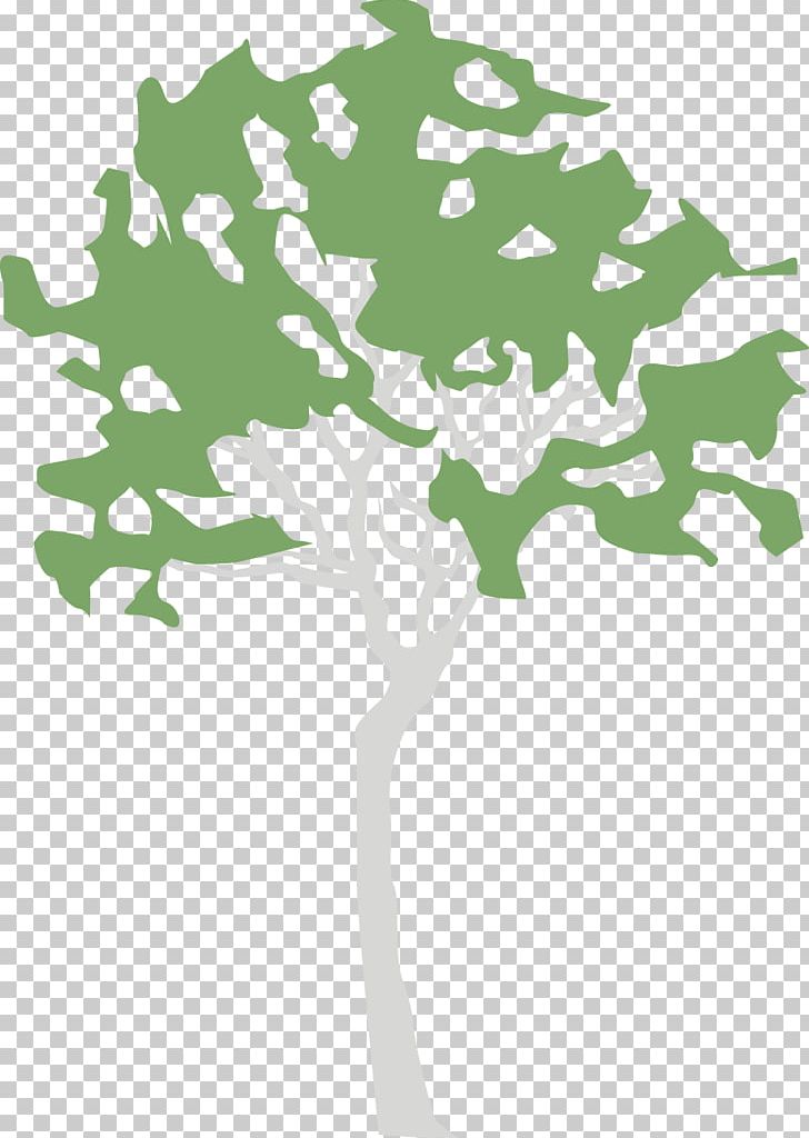 Illustration Green Leaf Plant Stem PNG, Clipart, Birch, Birch Tree, Branch, Branching, Flora Free PNG Download