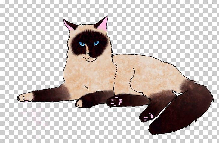 Whiskers Balinese Cat Kitten Domestic Short-haired Cat PNG, Clipart, 21 Savage, Animals, Balinese, Balinese Cat, Carnivoran Free PNG Download