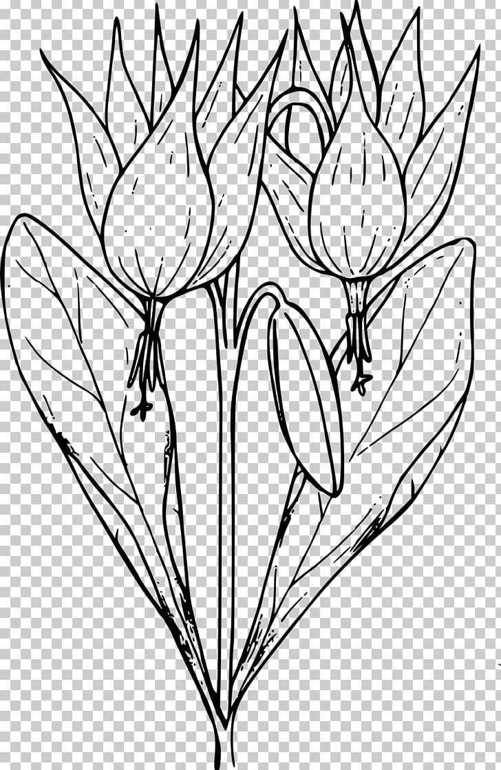 Coloring Book Floral Design Flower PNG, Clipart, Artwork, Bitki, Black And White, Branch, Child Free PNG Download