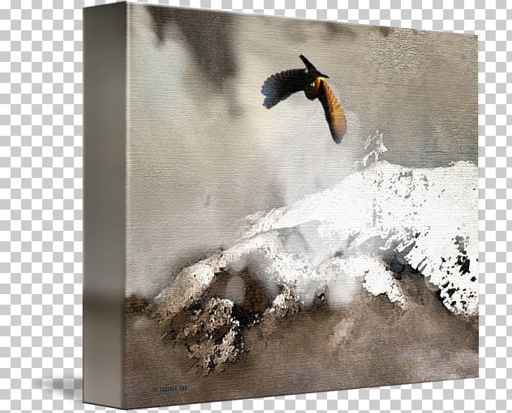 Flightless Bird Stock Photography PNG, Clipart, Animals, Bird, Flightless Bird, Photography, Snow Mountain Free PNG Download