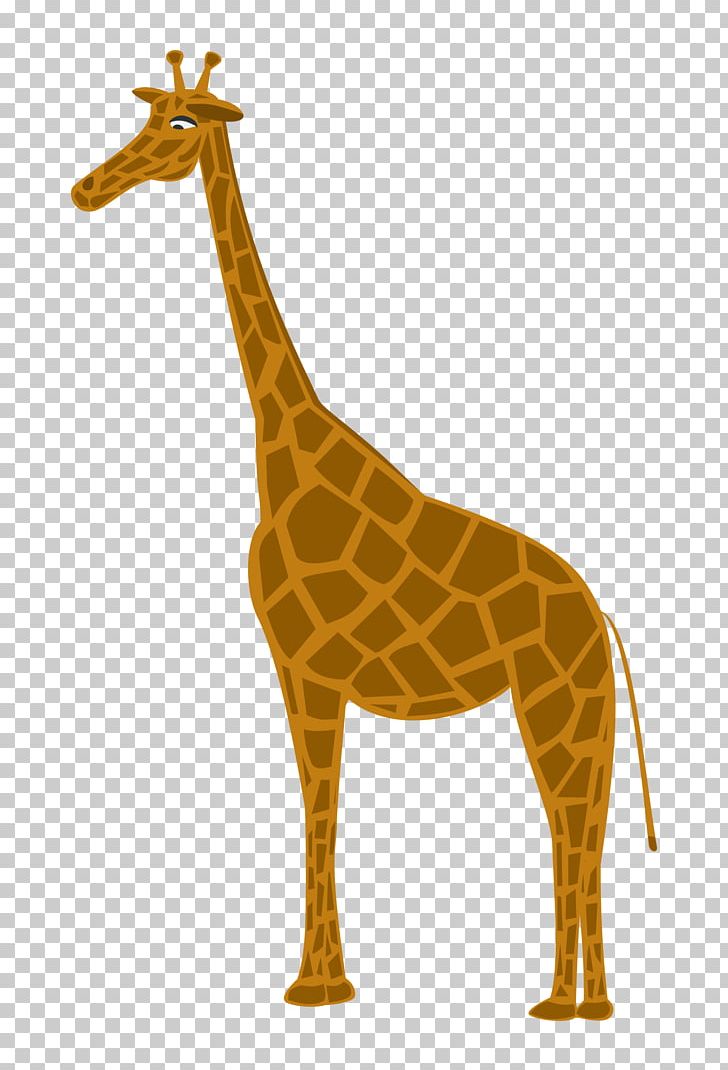Northern Giraffe Deer Mammal Animal PNG, Clipart, Animal, Animals, Deer, Elephant, Fauna Free PNG Download