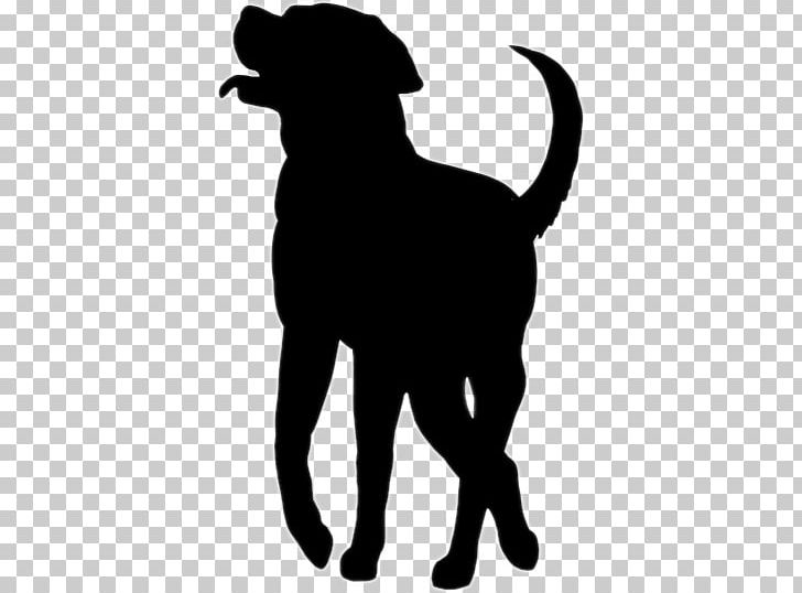 Cat Dog Puppy Pet Canidae PNG, Clipart, Animal, Animals, Black, Black And White, Breed Free PNG Download
