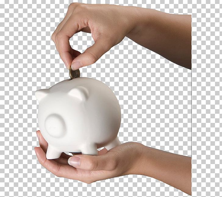 Domestic Pig Piggy Bank Coin PNG, Clipart, Bank, Banking, Coin, Domestic Pig, Download Free PNG Download