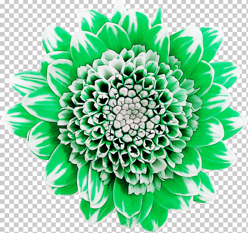 Floral Design PNG, Clipart, Cut Flowers, Dahlia, Floral Design, Flower, Gerbera Free PNG Download