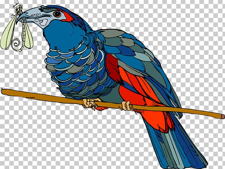 Bird Parrot Beak Feather Macaw PNG, Clipart, Advertising, Animal, Animals, April 18, Beak Free PNG Download