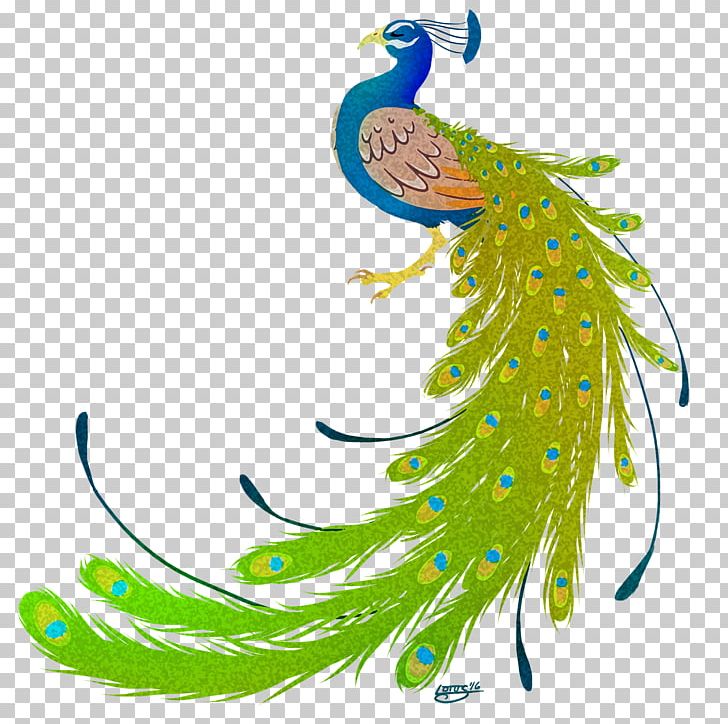 Bird Peafowl Feather PNG, Clipart, Animals, Art, Beak, Bird, Clip Art Free PNG Download
