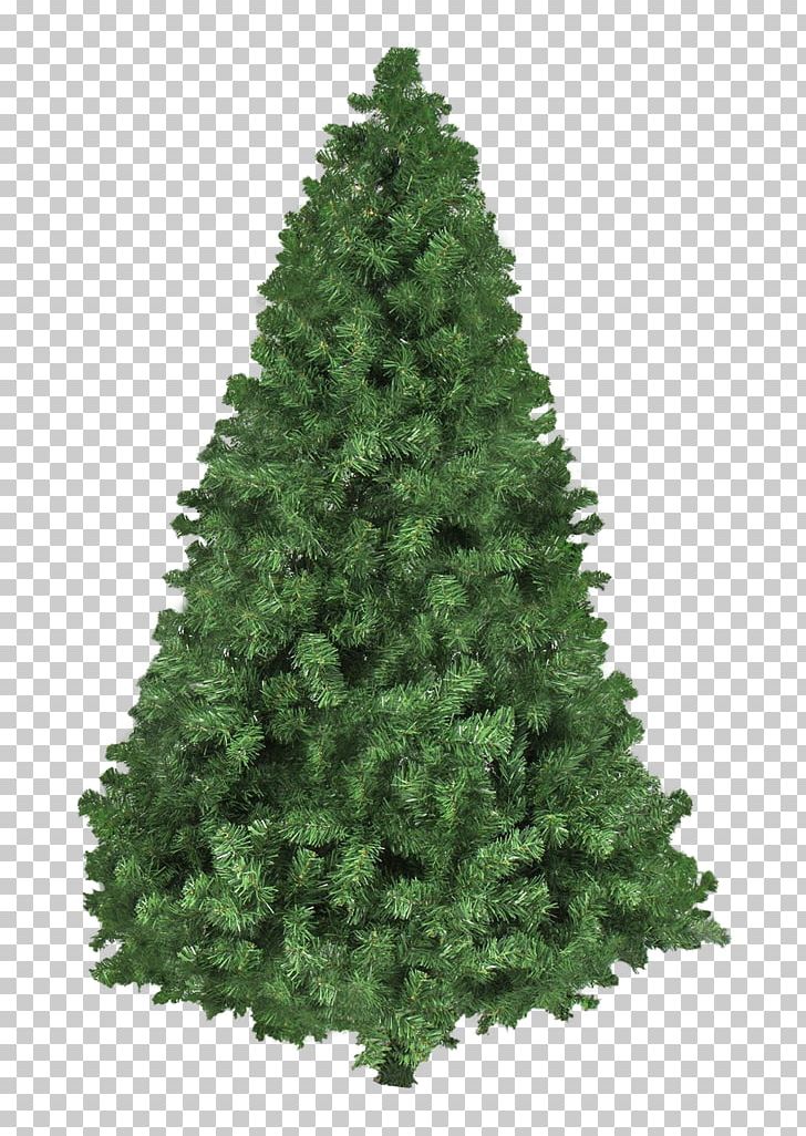 Christmas Tree PNG, Clipart, Biome, Christmas, Christmas Decoration, Conifer, Desktop Wallpaper Free PNG Download