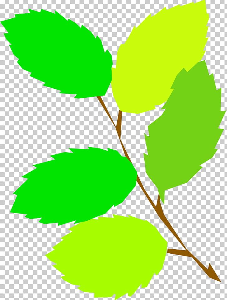 Leaf Green PNG, Clipart, Animation, Artwork, Autumn Leaf Color, Blog, Branch Free PNG Download