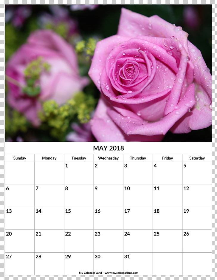 Rose Family Pruning Bud PNG, Clipart, Blume, Branch, Bud, Calendar, Flora Free PNG Download