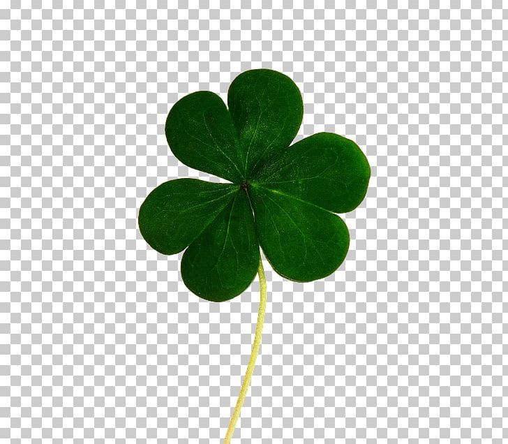 Saint Patrick's Day Republic Of Ireland Luck Shamrock Black And Tan PNG, Clipart, 17 March, Black And Tan, Clover, Food, Fourleaf Clover Free PNG Download