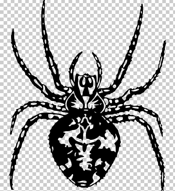 Spider PNG, Clipart, Arachnid, Arthropod, Artwork, Black And White, Decapoda Free PNG Download