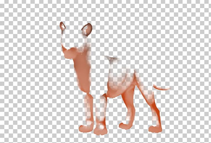 Cat Dog Snout Paw Canidae PNG, Clipart, Animals, Canidae, Carnivoran, Cat, Cat Like Mammal Free PNG Download