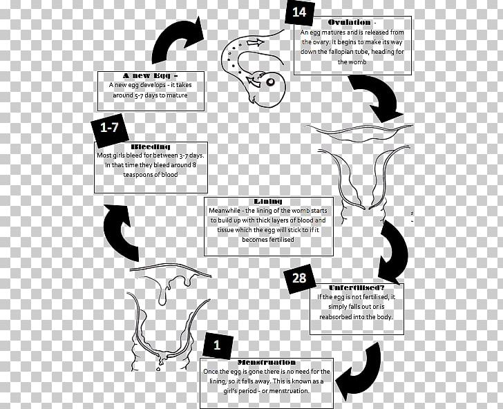 Ovarian Cycle The Menstrual Cycle Menstruation Flow Diagram PNG, Clipart, Angle, Birth Control, Black And White, Brand, Cartoon Free PNG Download