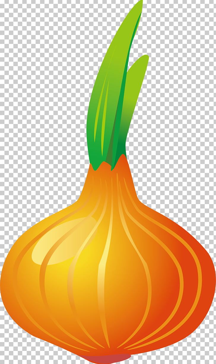 Pumpkin Calabaza Vegetable Onion Garlic PNG, Clipart, Cucurbita, Drawing, Food, Fruit, Garlic Free PNG Download