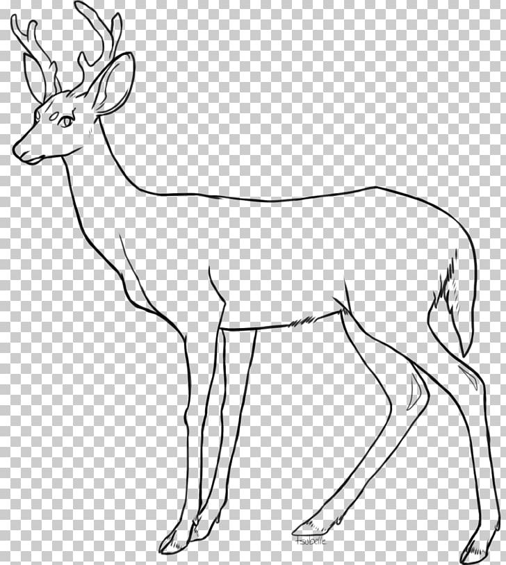 Red Deer Drawing Coloring Book PNG, Clipart, Antelope, Antler, Artwork, Black And White, Book Free PNG Download