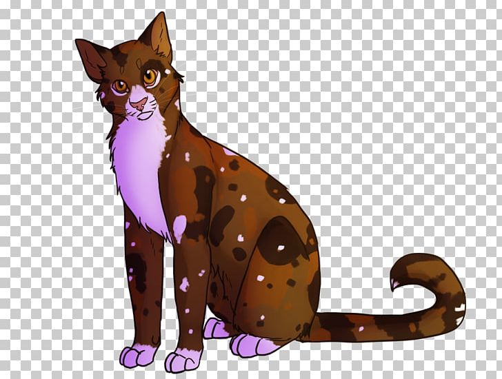 Whiskers Cat Kitten Spottedleaf Warriors PNG, Clipart, Animals, Carnivoran, Cat, Cat Like Mammal, Character Free PNG Download