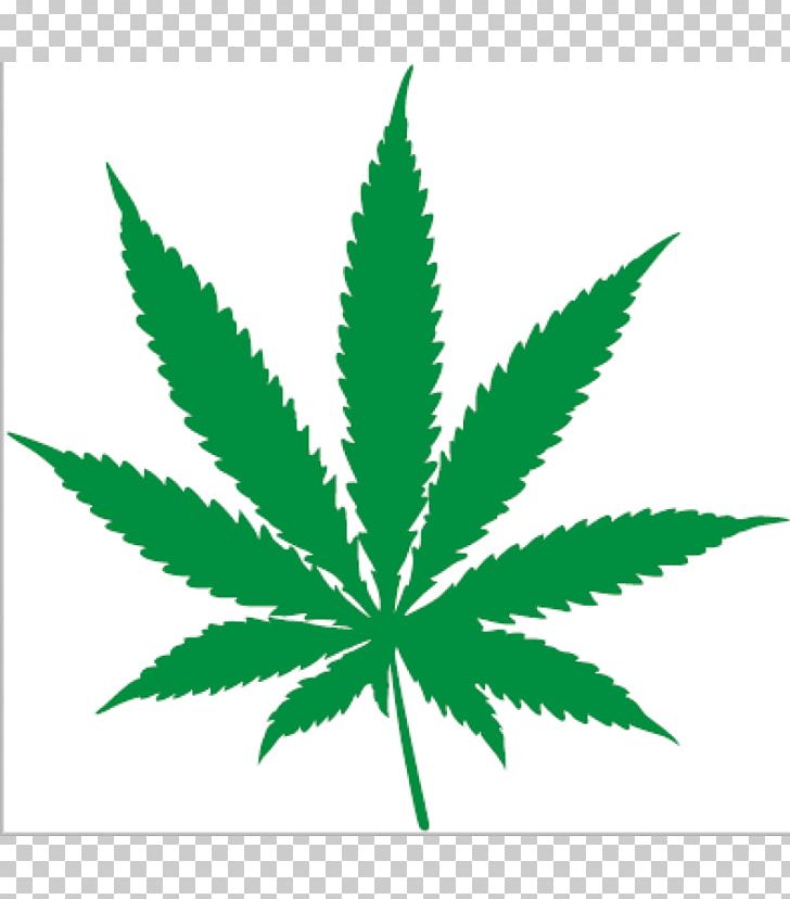 Cannabis Ruderalis Hemp Leaf Cannabis Sativa PNG, Clipart, Cannabis, Cannabis Ruderalis, Cannabis Sativa, Cannabis Smoking, Drawing Free PNG Download