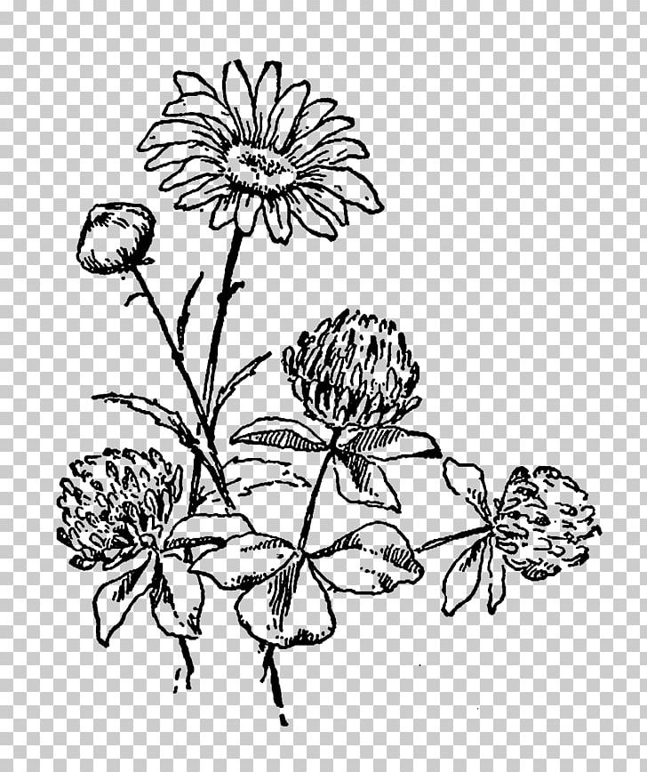 Flower Black And White Drawing PNG, Clipart, Art, Black And White, Branch, Chrysanths, Clip Art Free PNG Download