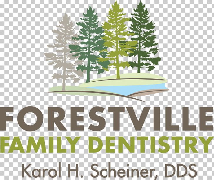 Forestville Spruce Logo Dentistry PNG, Clipart, Appointment, Area, Behavior, Brand, California Free PNG Download