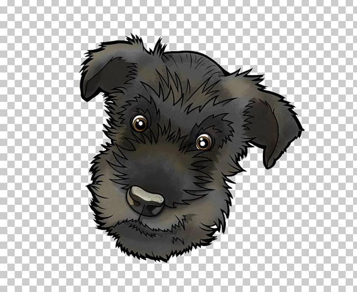 Miniature Schnauzer Schnoodle Affenpinscher Cairn Terrier Pumi Dog PNG, Clipart, Affenpinscher, Breed, Breed Group Dog, Cairn Terrier, Carnivoran Free PNG Download