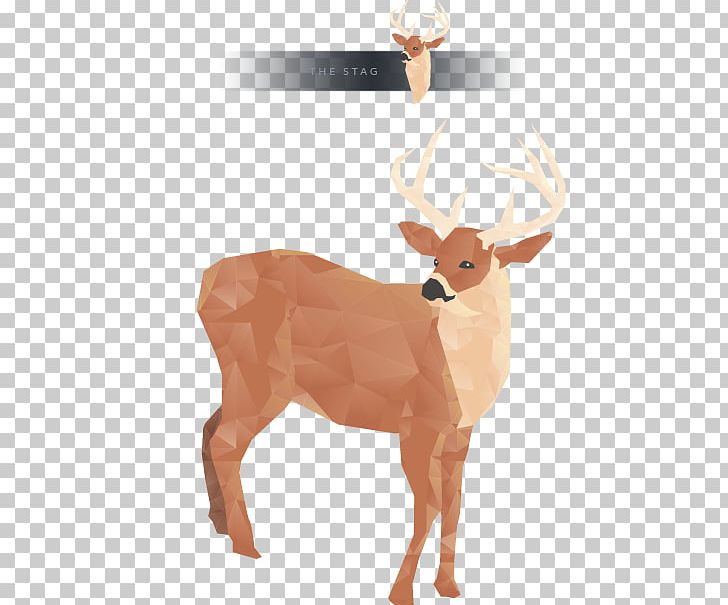 Reindeer White-tailed Deer Sticker Wall Decal PNG, Clipart, Antler, Bumper Sticker, Car, Deer, Horn Free PNG Download