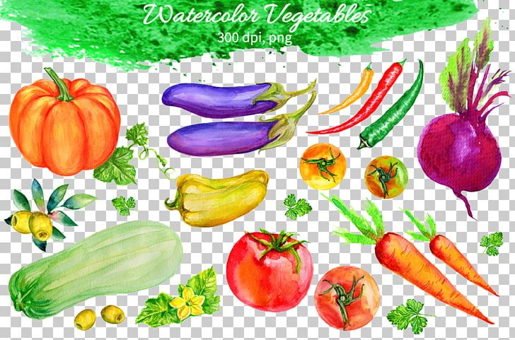 Vegetable Fruit Watercolor Painting Eggplant PNG, Clipart, Carrot, Common Beet, Diet Food, Food, Food Drinks Free PNG Download